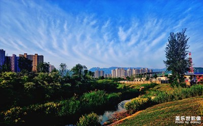 初夏 游園 樓下小公園