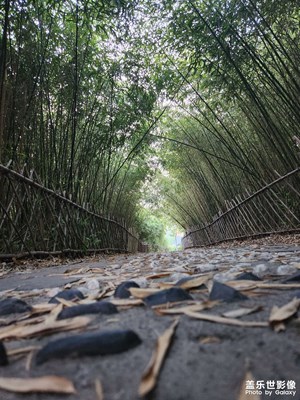 【拍有生活】+公園散步拍拍拍