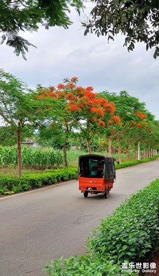 【拍有生活】鄉(xiāng)村隨拍