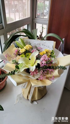 【拍有生活】花朵隨拍