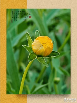 來(lái)一次說走就走的旅行