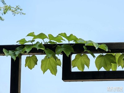 【陽光燦爛的日子】站前隨拍