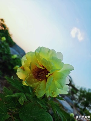 【陽光燦爛的日子】生活隨拍