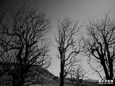 【陽光燦爛的日子】生活記錄