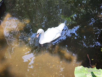 不得不說(shuō)拍景這塊還是OK的