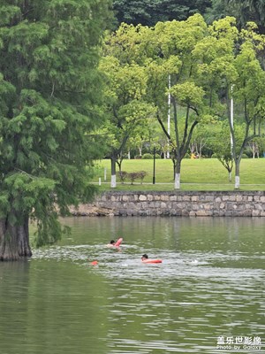 【陽光燦爛的日子】+ 飯后隨拍