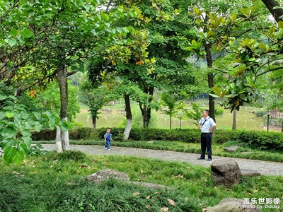 【陽光燦爛的日子】+美好生活