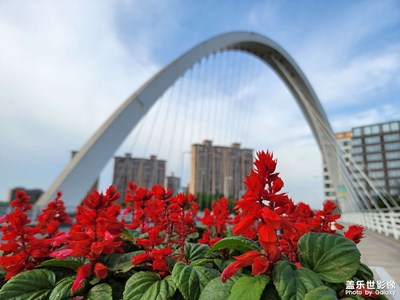 【用鏡頭講述】+ 周末閑逛