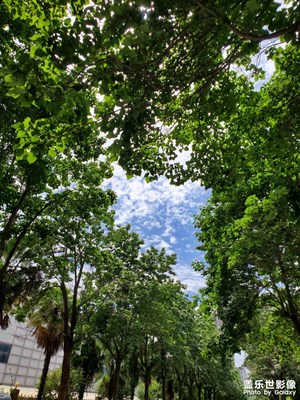 【用鏡頭講述】雨后