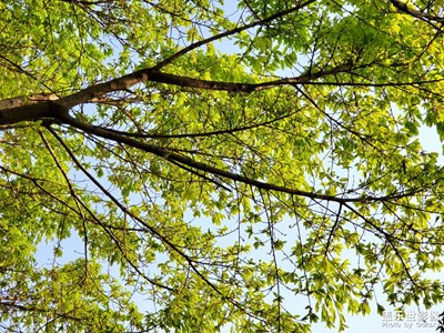 【用鏡頭講述】+記錄生活