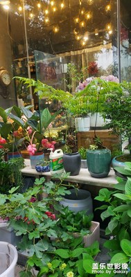 周四，又是一天