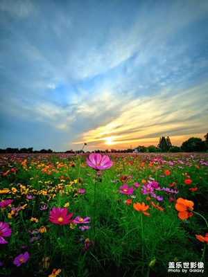 好久沒來南青蕩了