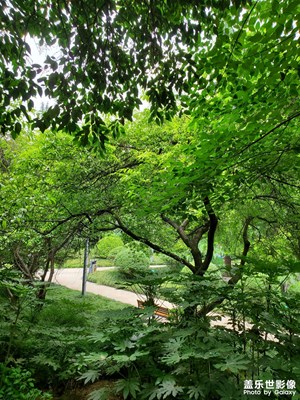 【泛著光的生活】公園漫步