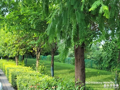 【泛著光的生活】+記錄生活