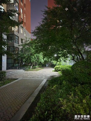 【鏡頭里的夏天】夏季清爽夜