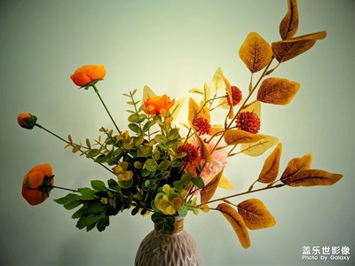 【留住精彩】記錄美麗