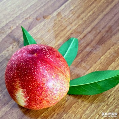 【鏡頭里的夏天】桃園