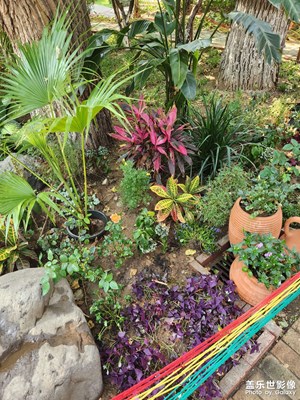 【鏡頭里的夏天】夏日炎炎