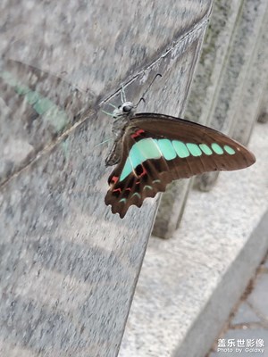 【留住精彩】+美好生活