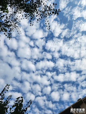 【鏡頭里的夏天】夏日的果實(shí)