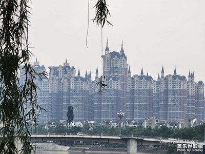 端午節(jié)假期