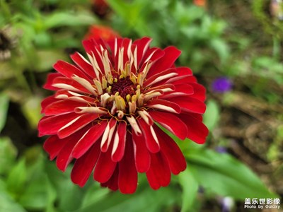 【鏡頭里的夏天】+街頭隨手拍