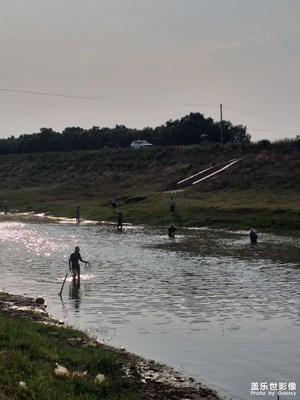 端午節(jié)捉魚啦，快來哈??