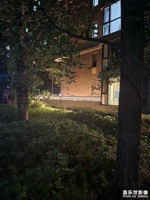 【鏡頭里的夏天】寂靜夏夜