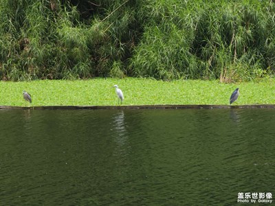 【鏡頭里的夏天】-清爽夏日