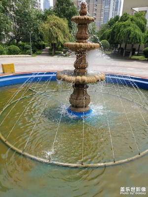 【鏡頭里的夏天】夏天的小區(qū)