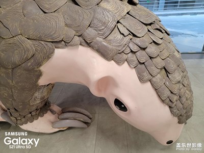 【鏡頭里的夏天】碎片拼湊的三伏天之雕塑