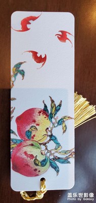 國(guó)博（十九）