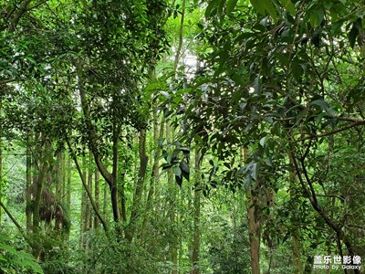 【夏日好時(shí)光】公園