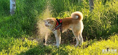 【把快樂塞進相冊里】+晨練好時光