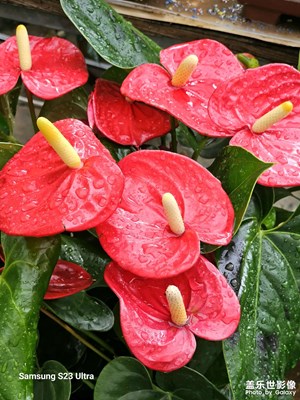 【把快樂(lè)塞進(jìn)相冊(cè)里】+夏日好時(shí)光