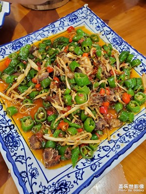 【鏡頭里的夏天】+一頓午餐