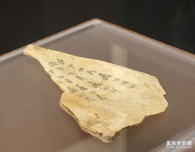 【把快樂塞進相冊里】+甲骨文記憶主題展