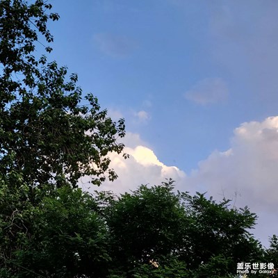 【把快樂(lè)塞進(jìn)相冊(cè)里】日常碎片??
