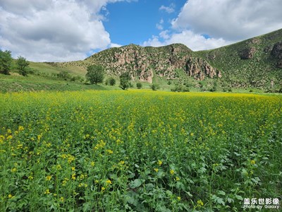 【把快樂塞進(jìn)相冊(cè)里】+夏日好時(shí)光