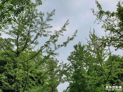 【把快樂塞進相冊里】+時光匆匆