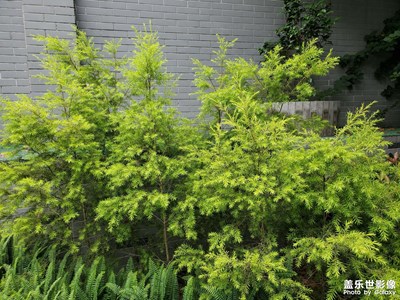 【把快樂塞進(jìn)相冊里】+沿路風(fēng)景