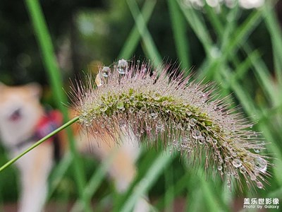 【創(chuàng)意生活】+?鏡頭里的故事
