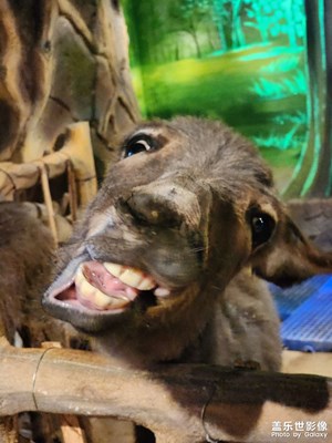 【創(chuàng)意生活】周末出去玩