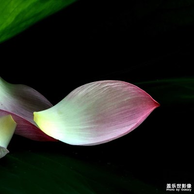 【創(chuàng)意生活】+?鏡頭里的故事