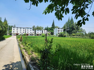 成都新都湯家壩