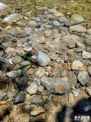 【創(chuàng)意生活】+ 鏡頭里的故事