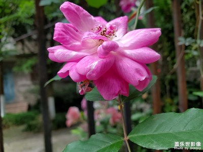 【創(chuàng)意生活】+ 生活小拍