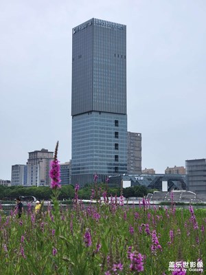 【多彩七月】+ 炎熱的七月