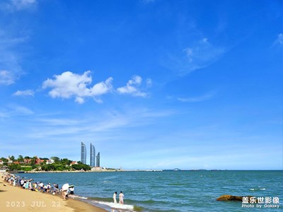 陽光沙灘小懶貓