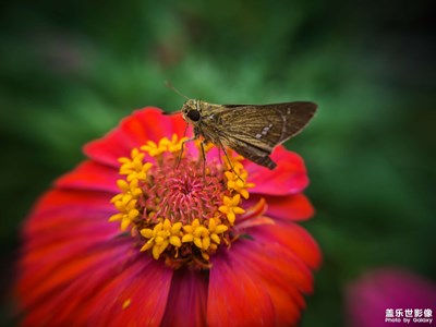 【多彩七月】S23ultra隨拍